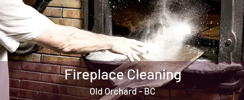  Fireplace Cleaning Old Orchard - BC