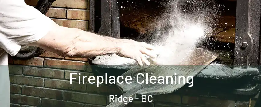  Fireplace Cleaning Ridge - BC
