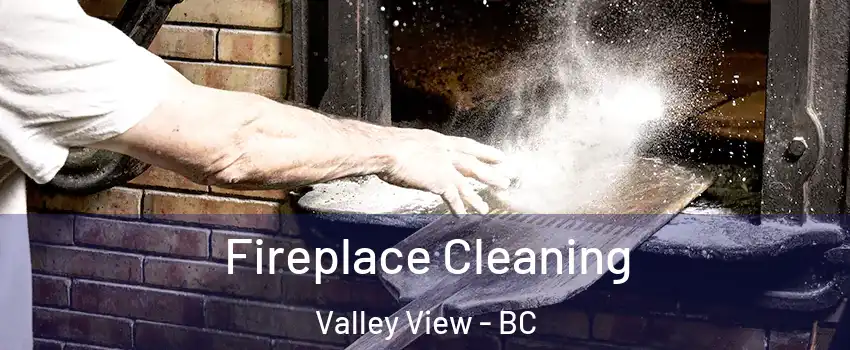 Fireplace Cleaning Valley View - BC