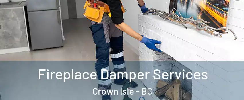  Fireplace Damper Services Crown Isle - BC