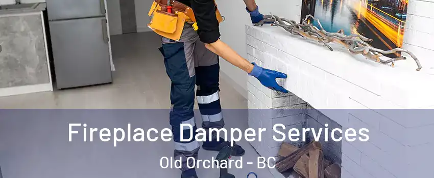  Fireplace Damper Services Old Orchard - BC