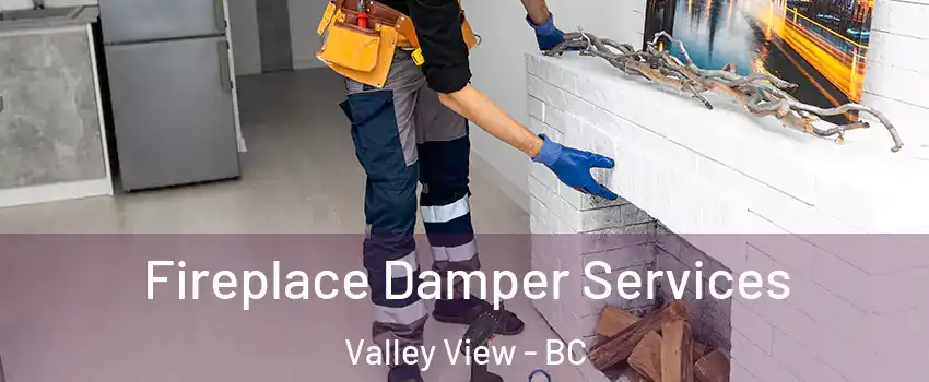  Fireplace Damper Services Valley View - BC