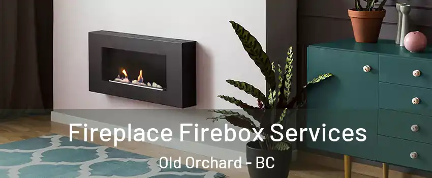  Fireplace Firebox Services Old Orchard - BC