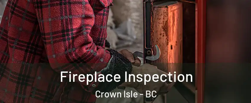  Fireplace Inspection Crown Isle - BC
