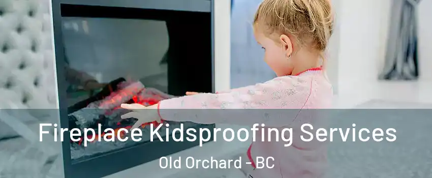  Fireplace Kidsproofing Services Old Orchard - BC
