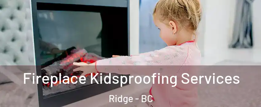  Fireplace Kidsproofing Services Ridge - BC