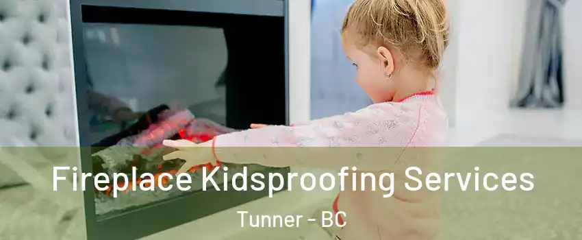  Fireplace Kidsproofing Services Tunner - BC
