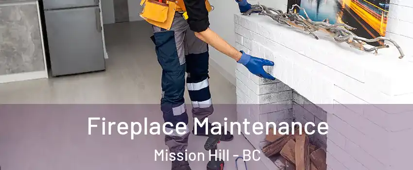  Fireplace Maintenance Mission Hill - BC