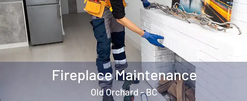  Fireplace Maintenance Old Orchard - BC