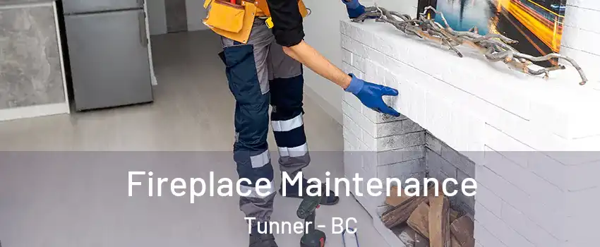  Fireplace Maintenance Tunner - BC