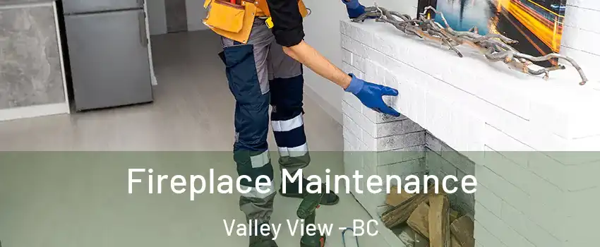  Fireplace Maintenance Valley View - BC