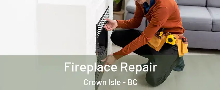  Fireplace Repair Crown Isle - BC