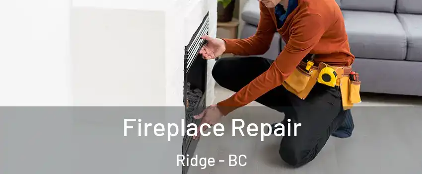  Fireplace Repair Ridge - BC
