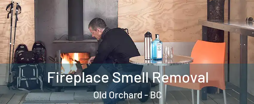  Fireplace Smell Removal Old Orchard - BC