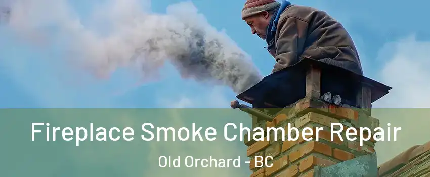  Fireplace Smoke Chamber Repair Old Orchard - BC