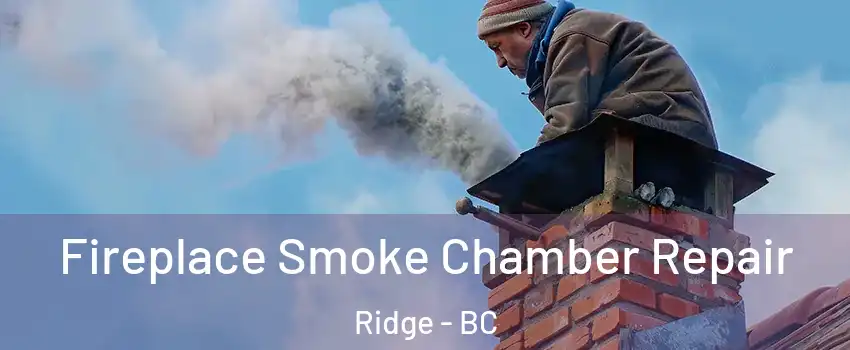  Fireplace Smoke Chamber Repair Ridge - BC