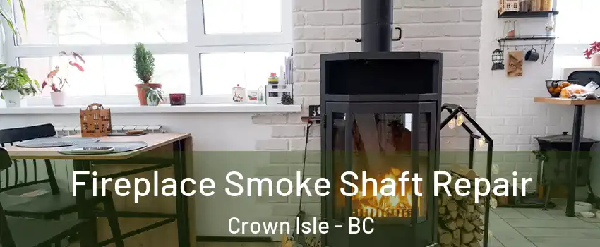  Fireplace Smoke Shaft Repair Crown Isle - BC