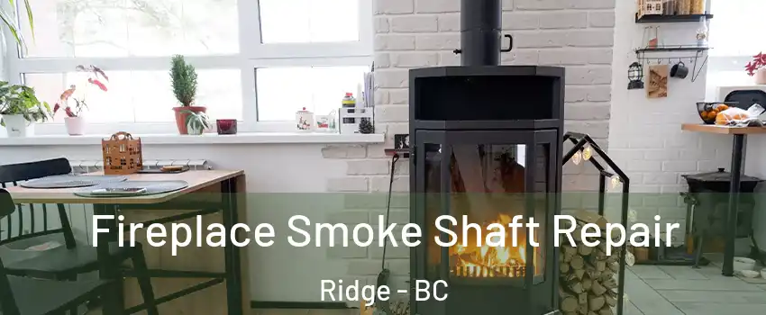  Fireplace Smoke Shaft Repair Ridge - BC