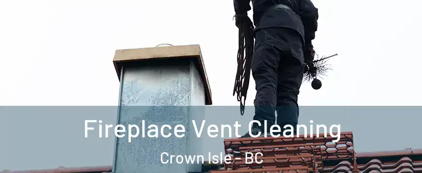  Fireplace Vent Cleaning Crown Isle - BC