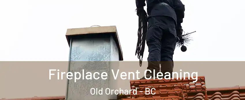  Fireplace Vent Cleaning Old Orchard - BC