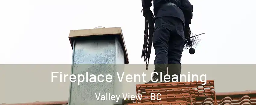  Fireplace Vent Cleaning Valley View - BC