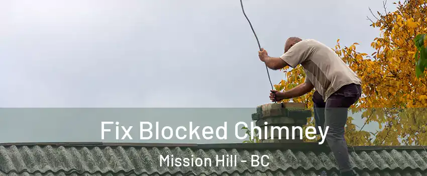  Fix Blocked Chimney Mission Hill - BC