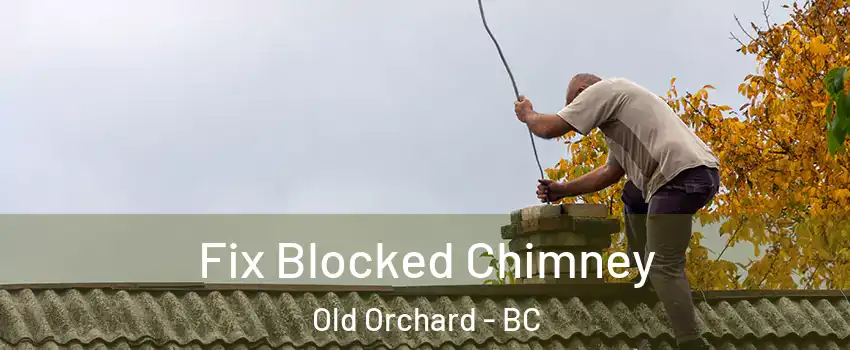 Fix Blocked Chimney Old Orchard - BC