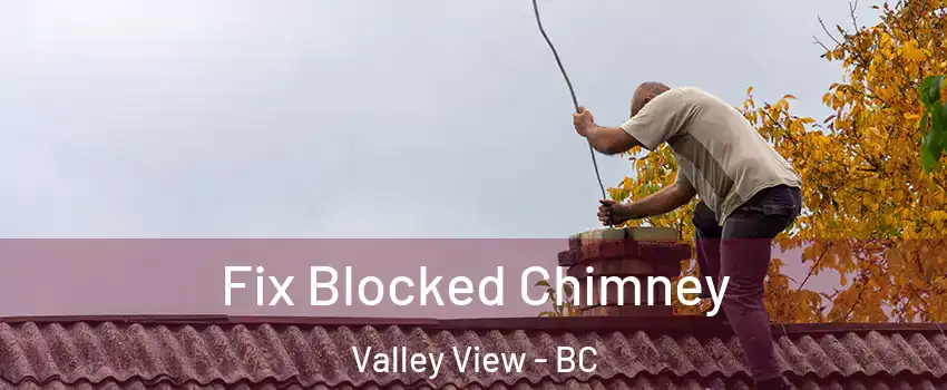  Fix Blocked Chimney Valley View - BC