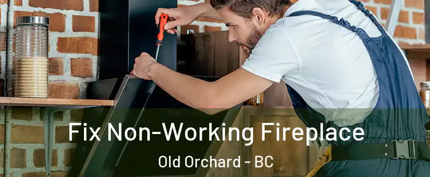  Fix Non-Working Fireplace Old Orchard - BC