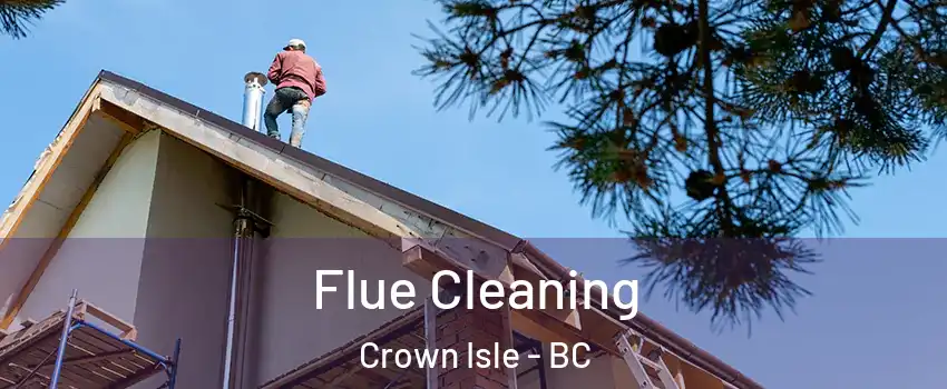  Flue Cleaning Crown Isle - BC