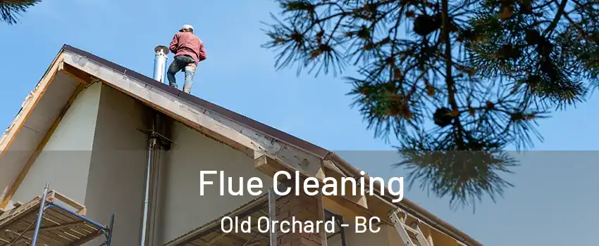 Flue Cleaning Old Orchard - BC