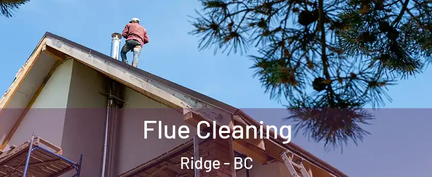  Flue Cleaning Ridge - BC
