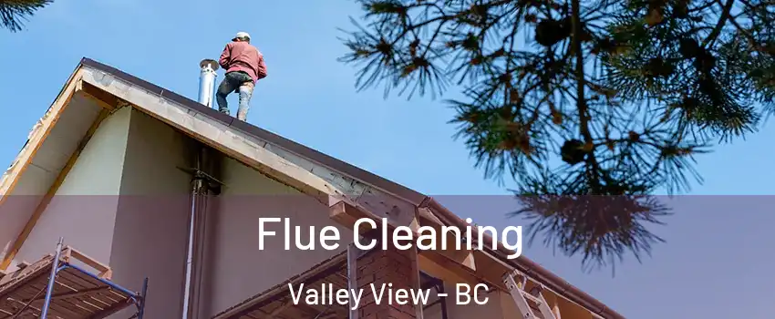  Flue Cleaning Valley View - BC