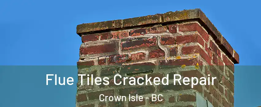  Flue Tiles Cracked Repair Crown Isle - BC