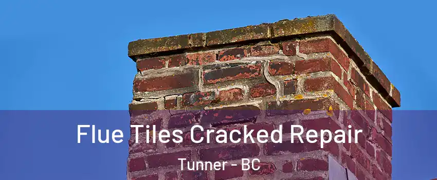  Flue Tiles Cracked Repair Tunner - BC
