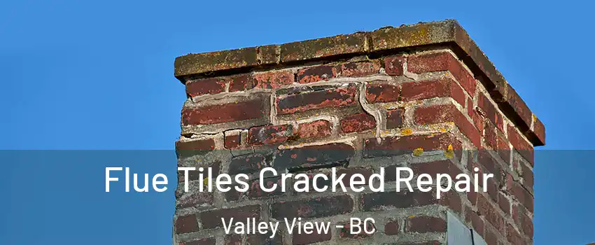  Flue Tiles Cracked Repair Valley View - BC