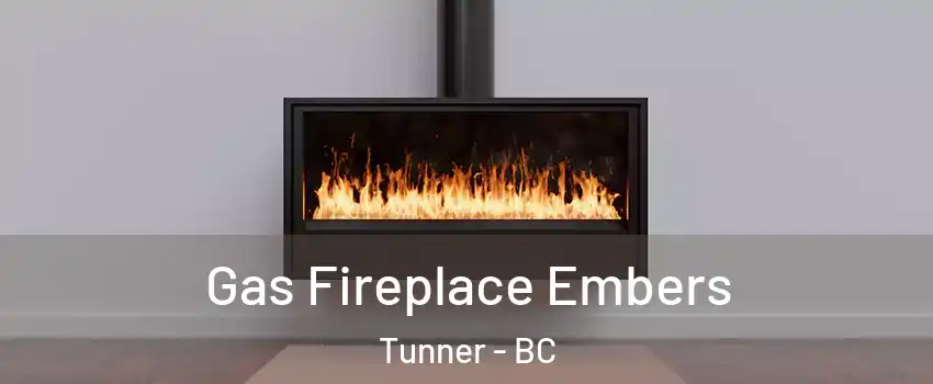  Gas Fireplace Embers Tunner - BC