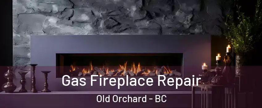  Gas Fireplace Repair Old Orchard - BC