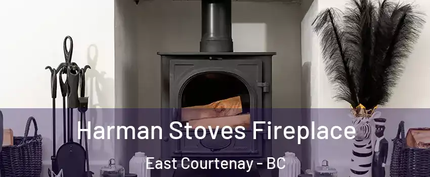  Harman Stoves Fireplace East Courtenay - BC