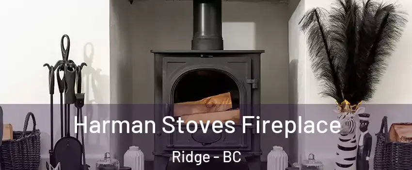  Harman Stoves Fireplace Ridge - BC