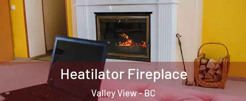  Heatilator Fireplace Valley View - BC