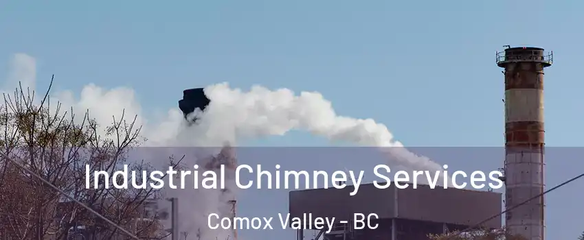  Industrial Chimney Services Comox Valley - BC