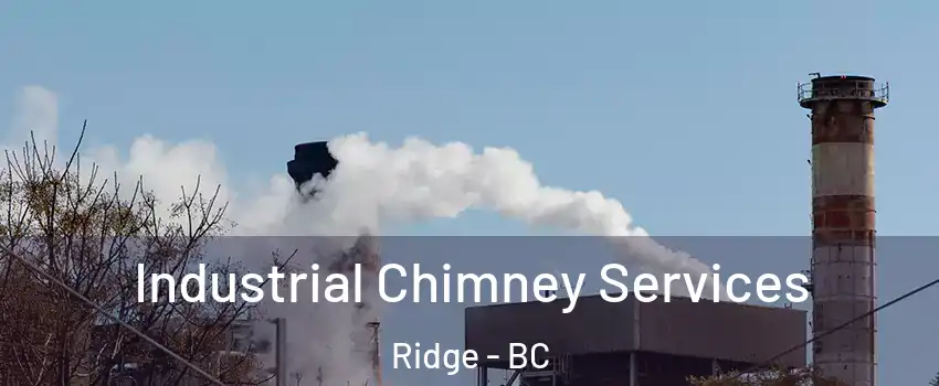  Industrial Chimney Services Ridge - BC