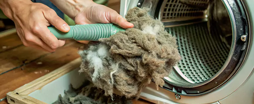 Best Dryer Lint Removal Company in Tunner, British Columbia