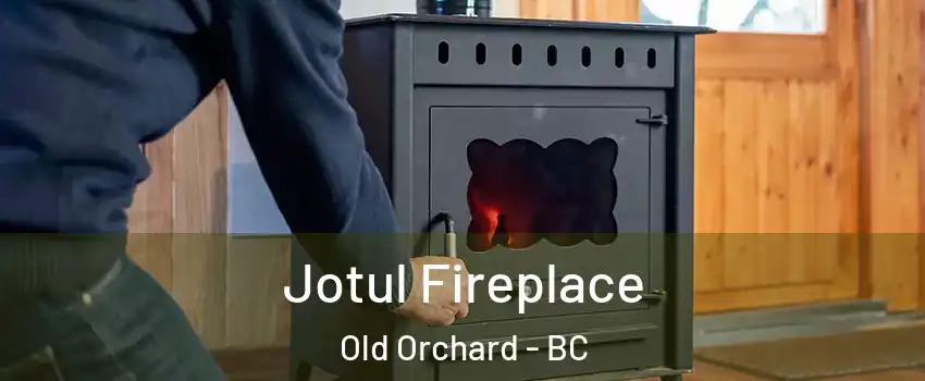  Jotul Fireplace Old Orchard - BC