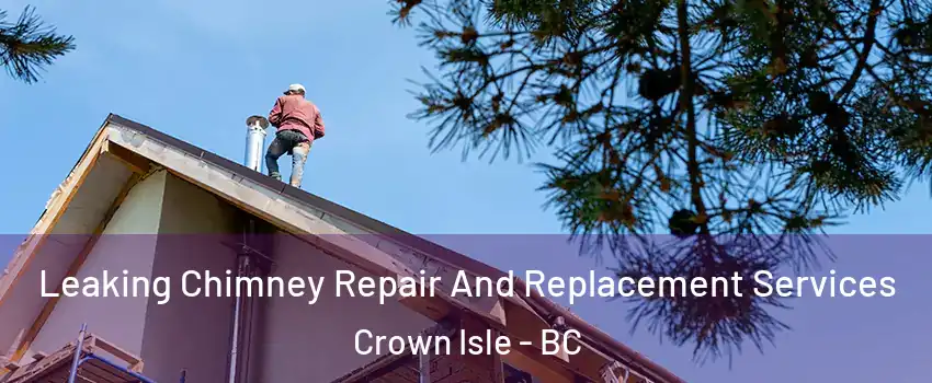  Leaking Chimney Repair And Replacement Services Crown Isle - BC