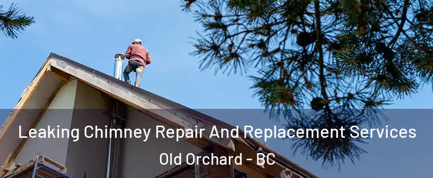  Leaking Chimney Repair And Replacement Services Old Orchard - BC