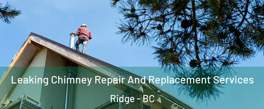  Leaking Chimney Repair And Replacement Services Ridge - BC