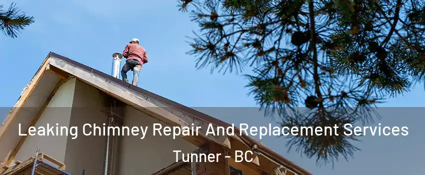  Leaking Chimney Repair And Replacement Services Tunner - BC