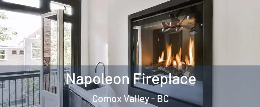  Napoleon Fireplace Comox Valley - BC